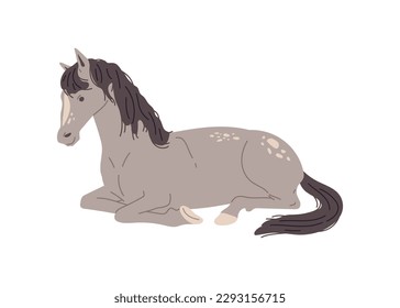 Gray horse lying, flat vector illustration isolated on white background. Beautiful wild animal. Concepts of horse races and racings.