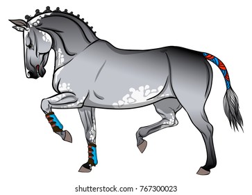 Gray horse in training.