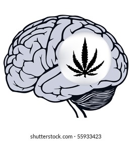 gray human brain with sign of marijuana