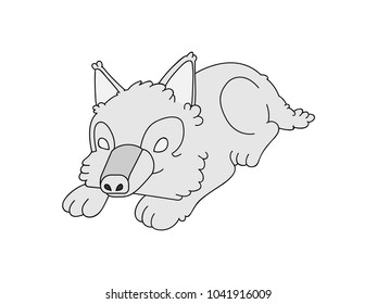 Gray husky dog.