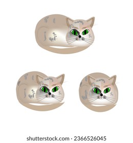 Gray kitten with green eyes. Fashion graphic design flat element. Colorful template for prints, card, poster, t shirt. Vector illustration.