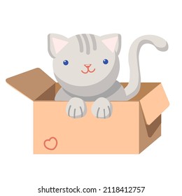 A gray kitten is sitting in a box.