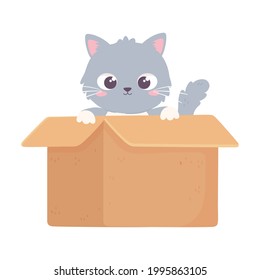 gray kitty in box cartoon