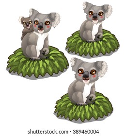 Gray Koala bear with cub sitting on top of a tree. Animals isolated on a white background. Vector illustration.