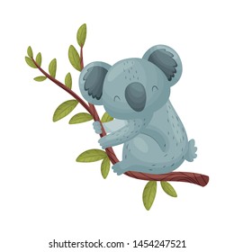 Gray koala on a branch. Vector illustration on white background.
