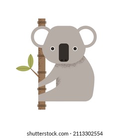 La koala gris se sienta en un árbol con una rama. Animal salvaje esponjoso de estilo plano en forma geométrica