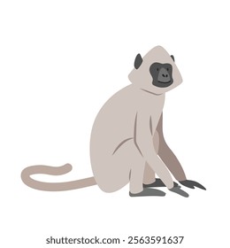 Gray langur cartoon clipart. Sacred langur or white-handed langur vector illustration in flat style. Old World monkey. Hand-drawn wild animal concept