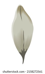 gray leaf plant nature icon
