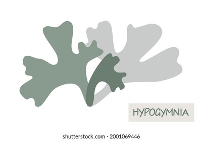 Gray lichen hypogymnia logo icon on white background