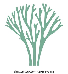 Gray lichen, seaweed deer moss, bush with twigs on a white background logo icon