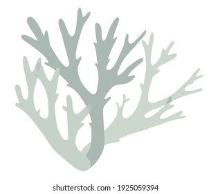 Gray lichen, yagel, deer moss, bush with twigs on a white background logo icon