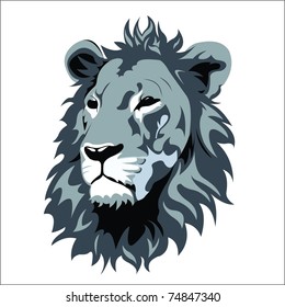  gray lion