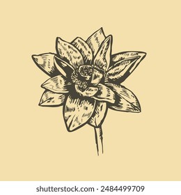 gray and lite yellow vector illustration in tattoo style a beautiful exotic flower on a white background