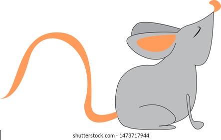 A gray little mouse with a brown tail, vector, color drawing or illustration.