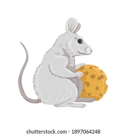 Gray little mouse is holding a piece of round cheese, an animal, a rodent, is smiling. Children's illustration, animal world, fairytale character.