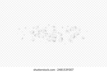 Gray Lotus Vector Transparent Background. White Blur Floral Design. Summer Cherry Banner. Delicate Blossom Tender Frame.