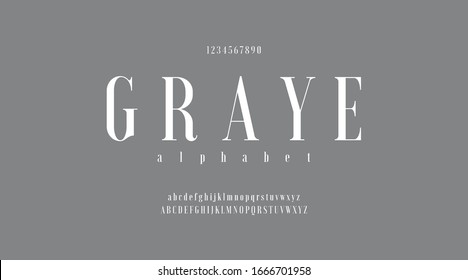 Gray luxury minimal classic modern typeface typo typography alphabet fonts and number, uppercase lowercase and number. Vector illustration with gray color or grey background. 