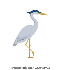 gray marsh heron standing on one leg