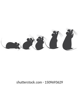 GRAY MICE COLLECTION, VECTOR, ISOLATED