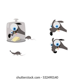 Gray mice misbehave on a white background