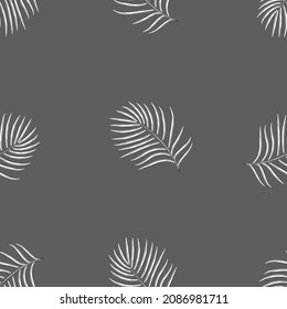 gray monochromatic color style tropical palm leaves seamless pattern plants fashionable vector design on dark background. Exotic tropics. Summer design. fabric print texture. wallpaper decorative