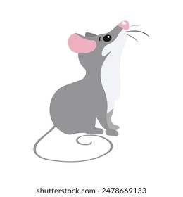 Gray mouse. animal. Vector illustrations