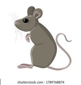 Gray mouse in cartoon style. Drawing isolated on a white background. Stock vector illustration.