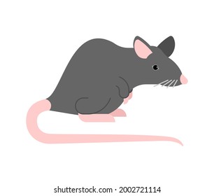 Ratón gris aislado. Ilustración del vector de ratones grises