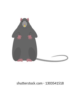 Gray mouse isolated. Little Rat vector illustration. 
