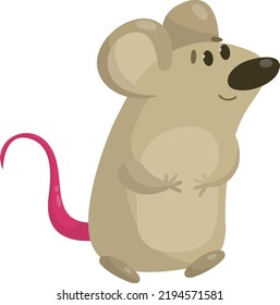 Gray mouse with a pink tail