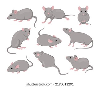 Gray mouse. Small animals. Mice poses. Rodents actions. Cute isolated icons set. Asian zodiac creature design drawing. Flat fur pets. Pest mammal with funny tail and nose. Vector illustration clipart