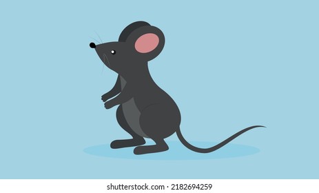 Gray mouse stands on its hind legs