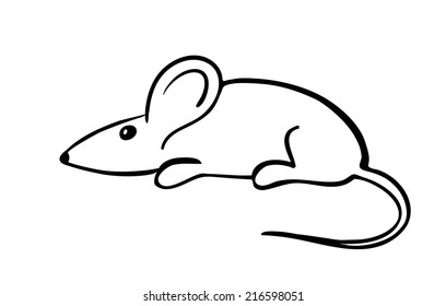 gray mouse, vector illustration, isolated on white