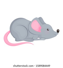 Gray mouse vector. Symbol of new 2020 year.
