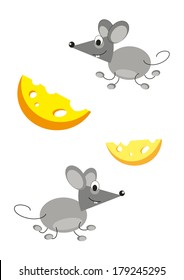 Gray mouse and yellow cheese