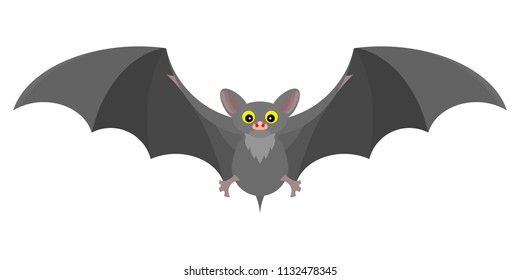 gray mystical bat flat fabulous interesting