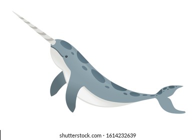 Gray narwhal(Monodon monoceros) toothed whale with tusk cartoon sea character design flat vector illustration isolated on white background