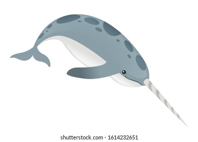 Gray narwhal(Monodon monoceros) toothed whale with tusk cartoon sea character design flat vector illustration isolated on white background