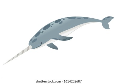 Gray narwhal(Monodon monoceros) toothed whale with tusk cartoon sea character design flat vector illustration isolated on white background