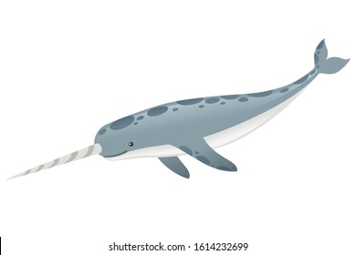 Gray narwhal(Monodon monoceros) toothed whale with tusk cartoon sea character design flat vector illustration isolated on white background