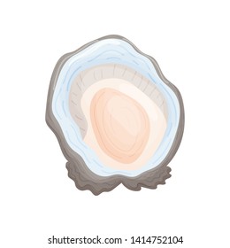 Gray open oyster shell with multicolored beacon. Vector illustration on white background.