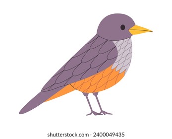 gray and orange color small bird rufous bellied thrush species pretty cute nature animal wildlife creature