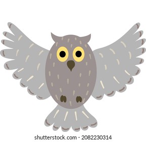 gray owl flying full face