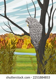 A gray owl sits on a tree.. Autumn meadow with river and autumn forest on the horizon. wild birds of the forest. Realistic vertical vector landscape