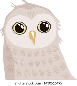 Gray owl. Vector. Can be used in design.