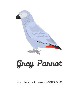 Gray parrot color flat icon for web and mobile design