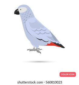 Gray parrot color flat icon for web and mobile design