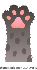 Gray paw with dark fur spots. Kitten hand