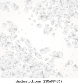 Gray Peach Vector Light Background. Snowy Summer Rose Backdrop. Fall Blossom Frame. Pastel Sakura Beauty Pattern.