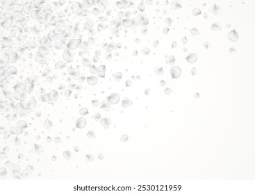 Gray Petal Vector Light Background. Pastel Flying Floral Backdrop. Japanese Rose Wallpaper. Snowy Peach Beauty Template.